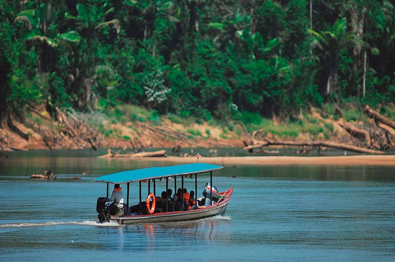 Boat tour to the Manu National Reserve