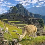 1 Day Machu Picchu Tour from Cusco
