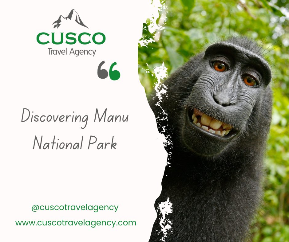 Discovering Manu National Park: A Journey into the Heart of Peru's Biodiversity Hotspot