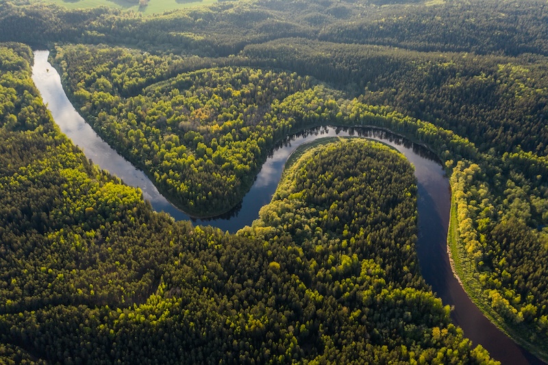 Manu National Park