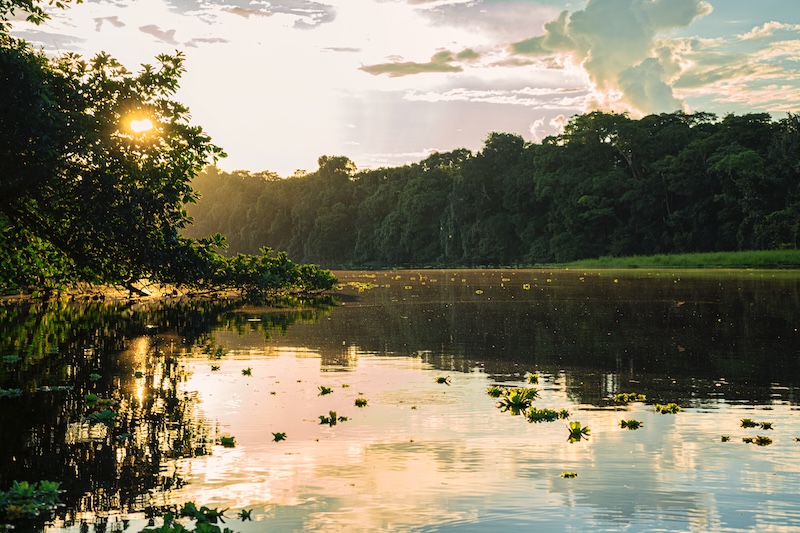 Manu National Park