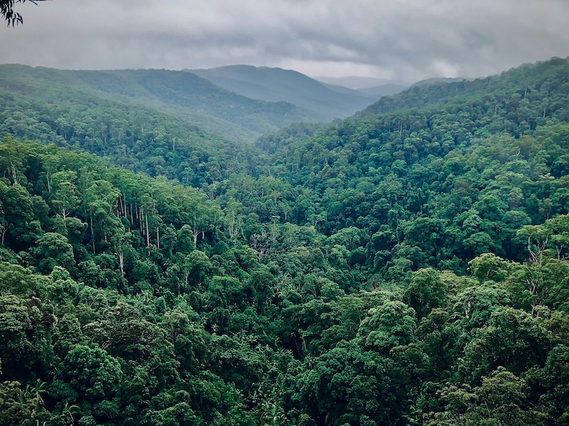 Manu National Park