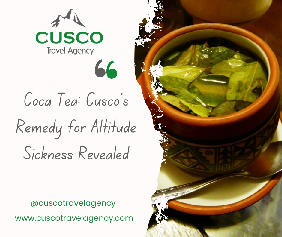 Coca Tea Cusco's Remedy for Altitude Sickness Revealed Cusco Travel
