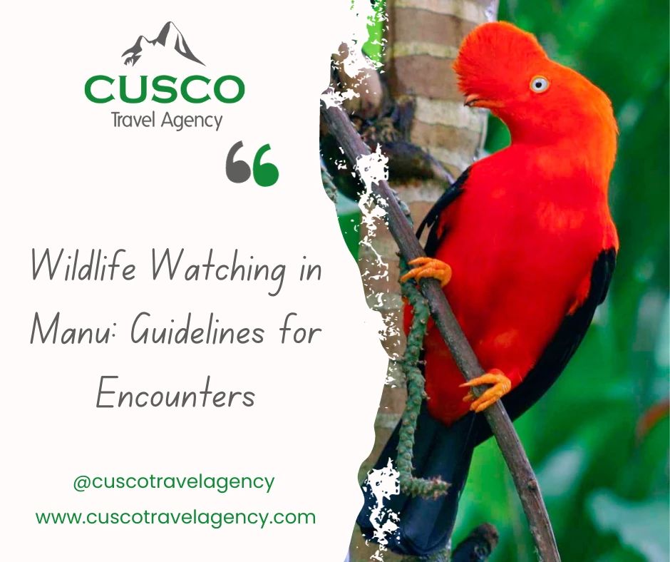 Wildlife Watching in Manu: Guidelines for Encounters