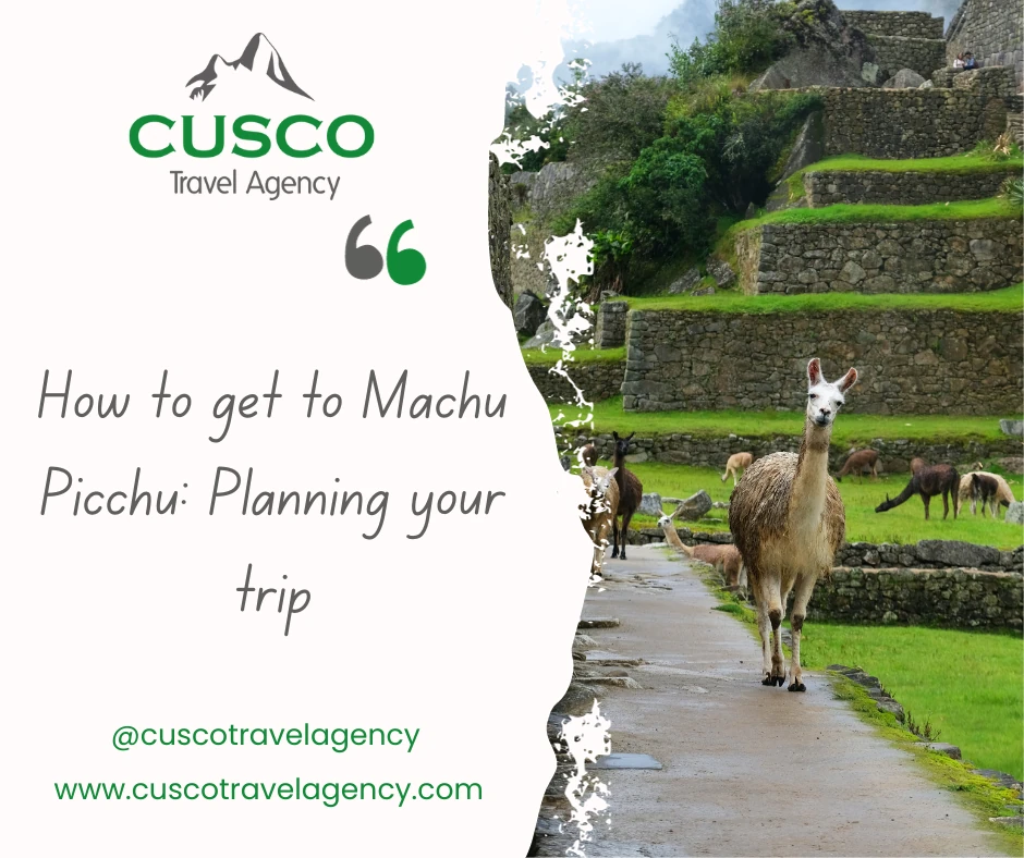How to get to Machu Picchu: Planning your trip