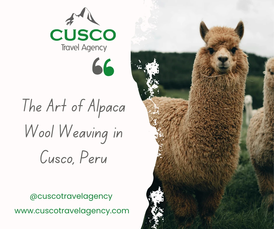 The Art of Alpaca Wool Weaving in Cusco, Peru