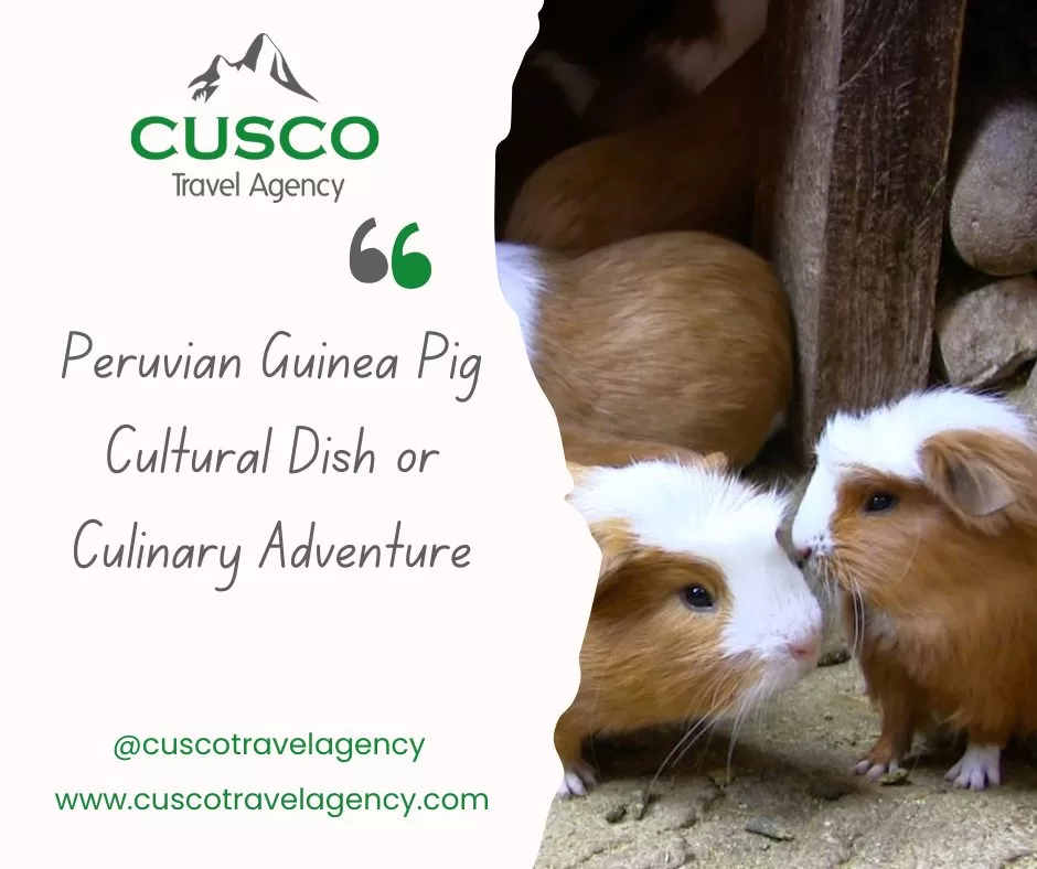 Cusco Travel Agency