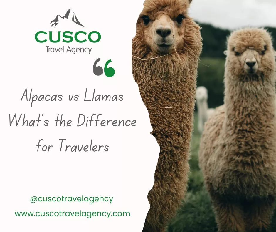 Cusco Travel Agency