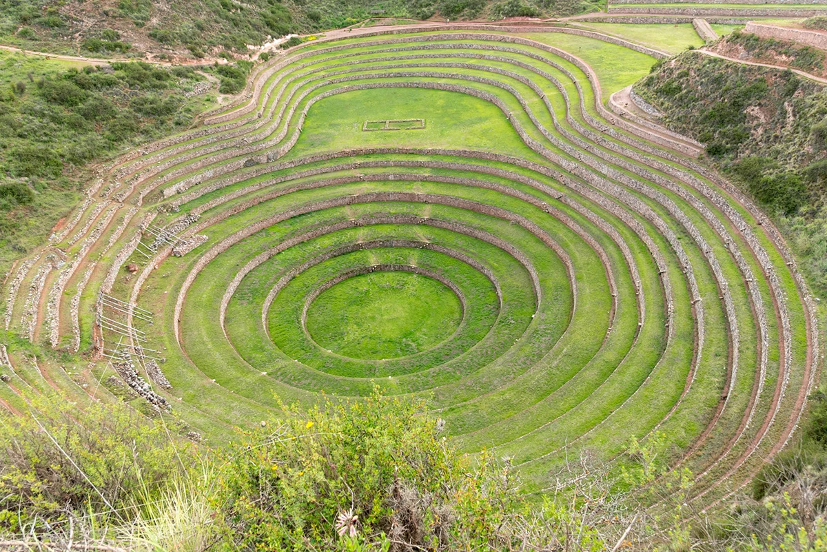 inca agriculture