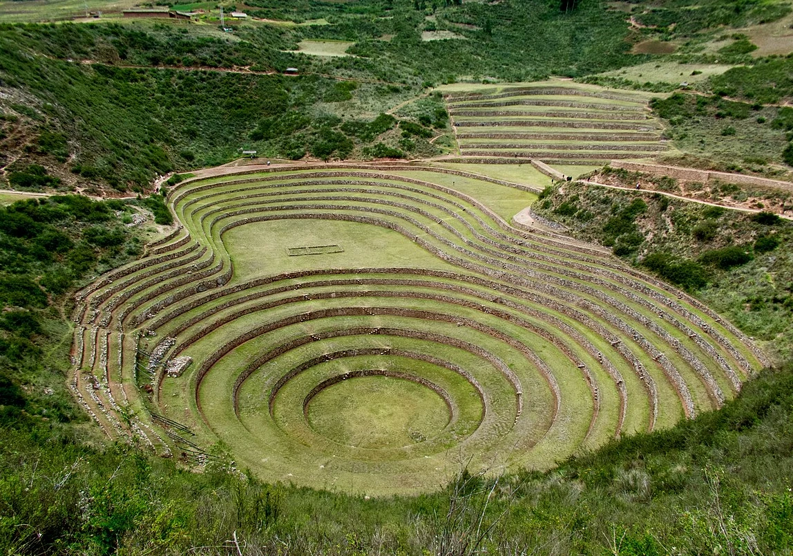 inca agriculture