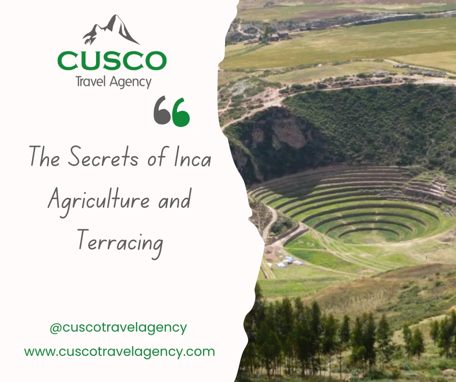 inca agriculture