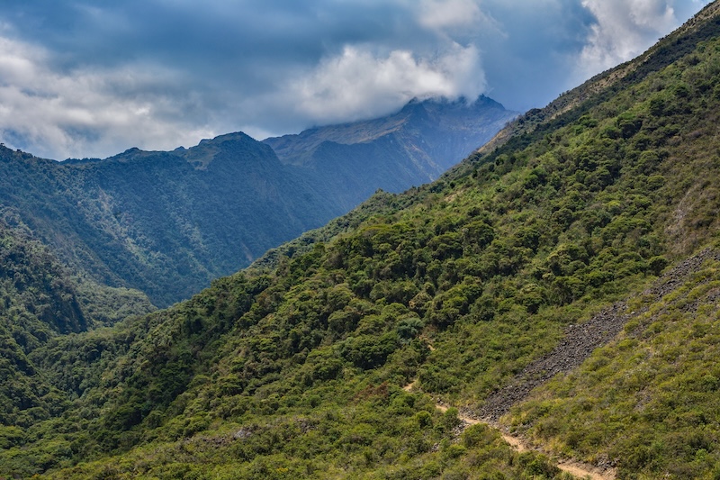 Vilcabamba Trek